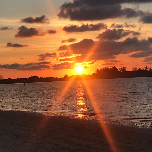 Meet Your Posher - Picture 4 of 4